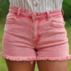 Ash Pink Cut Offs