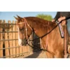 Professional's Choice Al Dunning Tack Black Draw Rope Martingale