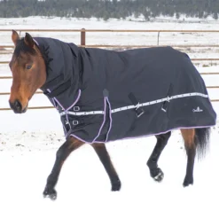 Classic Equine 10K Hooded Winter Horse Blanket- Black