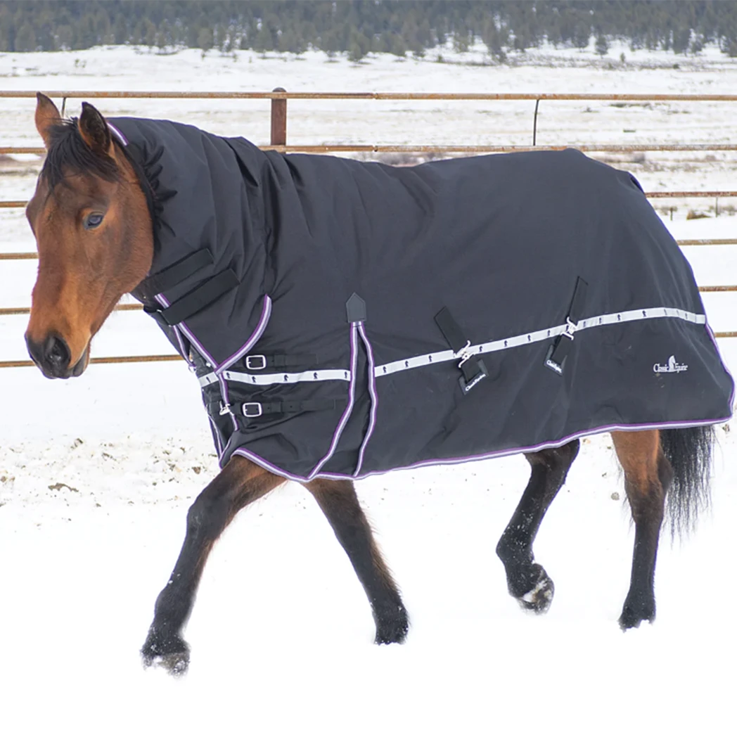 Classic Equine 10K Cross Trainer Winter Hooded Blanket- Ginger 2 Classic Equine 10K Cross Trainer Winter Hooded Blanket- Ginger - Image 2